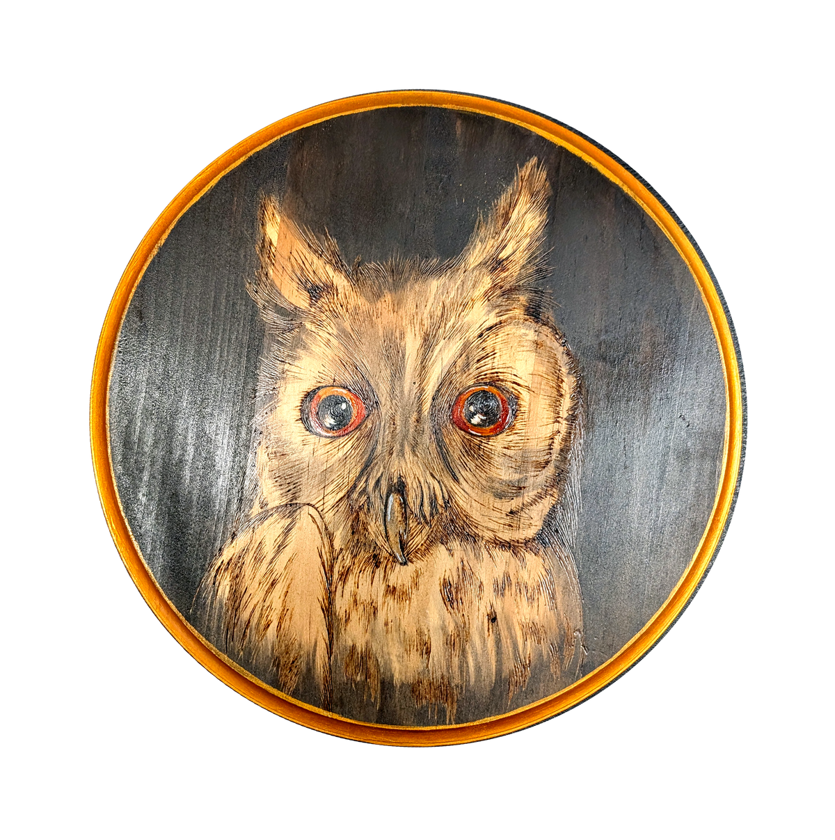 Another view of Head of Parliament by CamiThunderInk, an original pyrography and stain painting on a 12 inch pine round of a detailed long eared owl with resin eyes against a dark smoky background