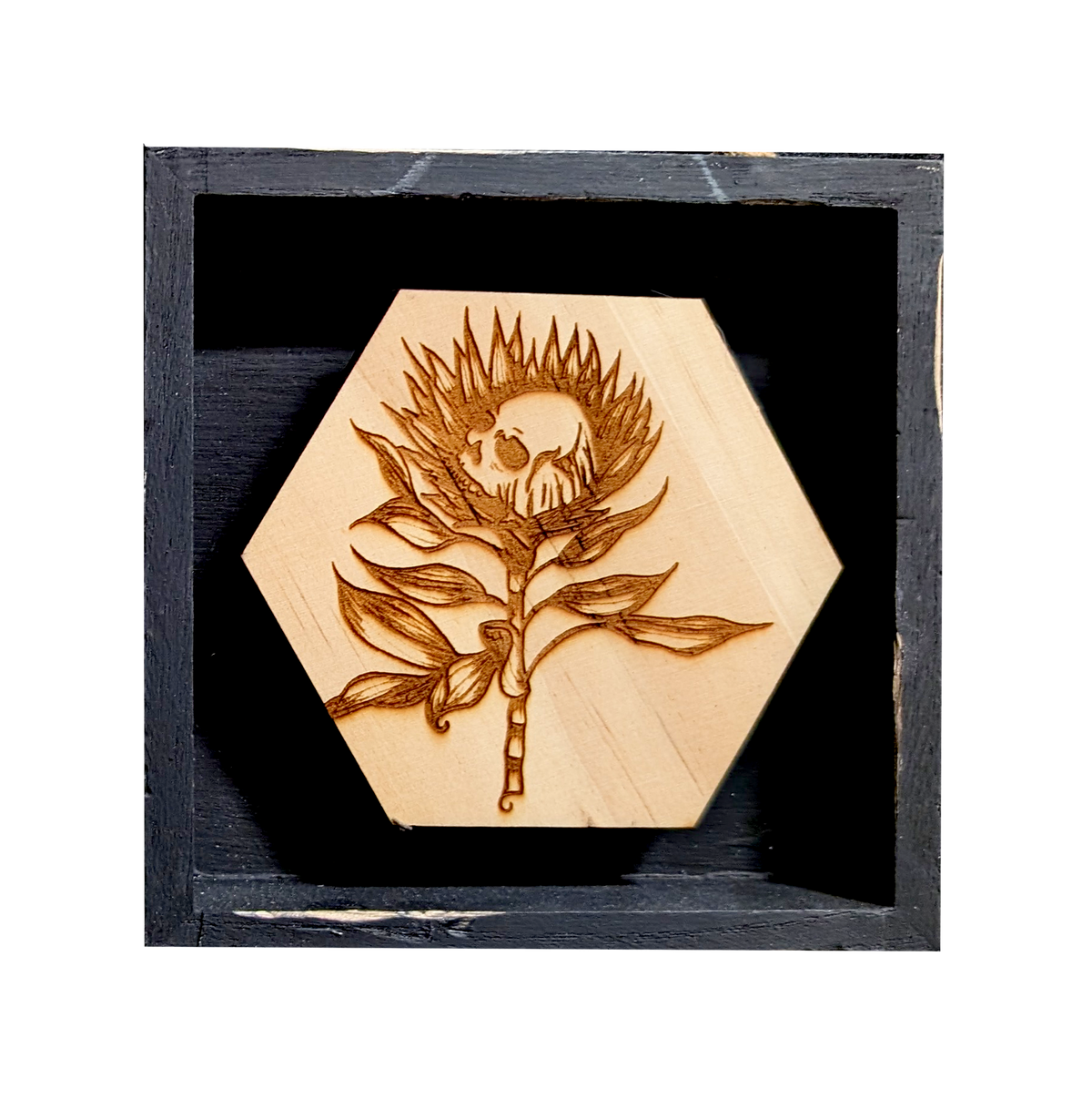 Skully Flowers Protea miniature framed piece by CamiThunderInk, a laser etched wood protea with a skull at its center, in a small 4x4 frame